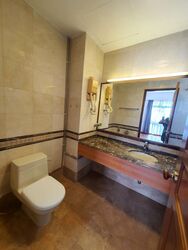 Gold Palm Mansion (D15), Apartment #447811431